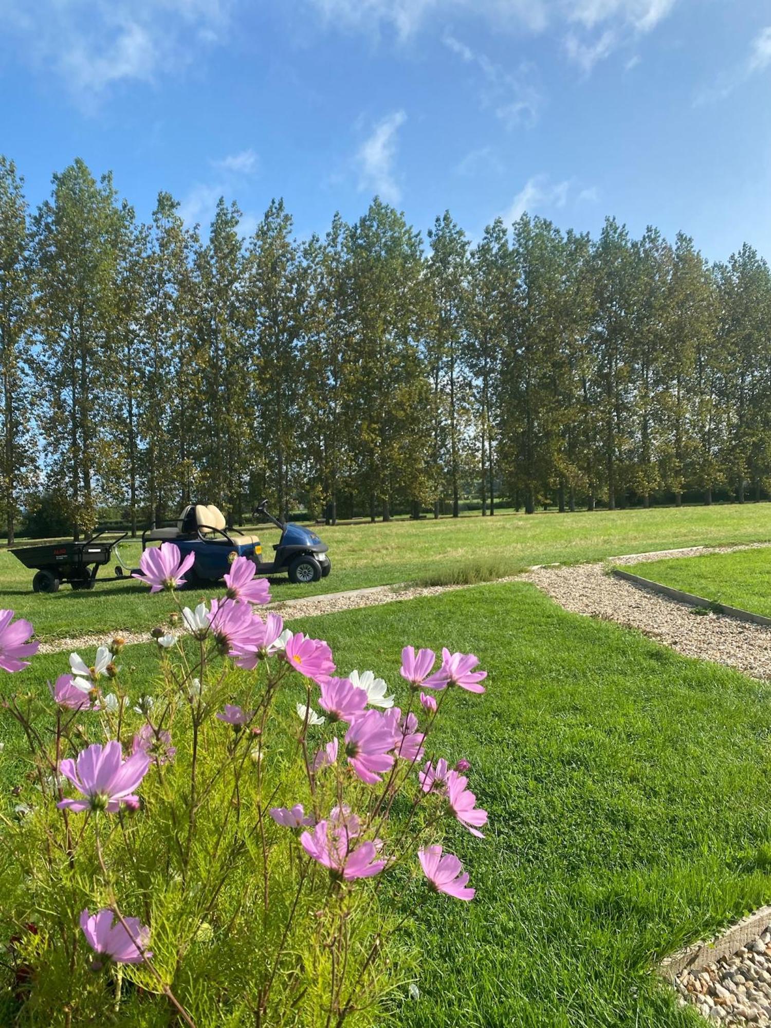 Tall Trees Glamping Baltonsborough Eksteriør billede