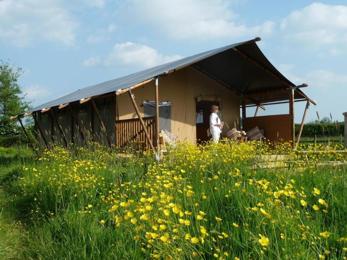 Tall Trees Glamping Baltonsborough Eksteriør billede